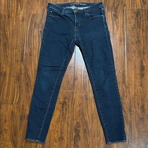 Articles of Society Dark Indigo Skinny Jeans